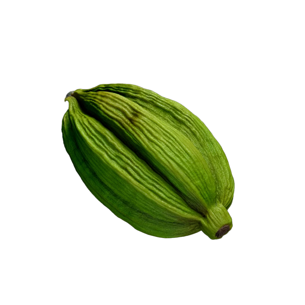 Green cardamom pods