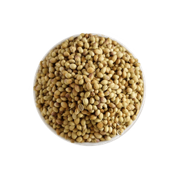 Coriander seeds